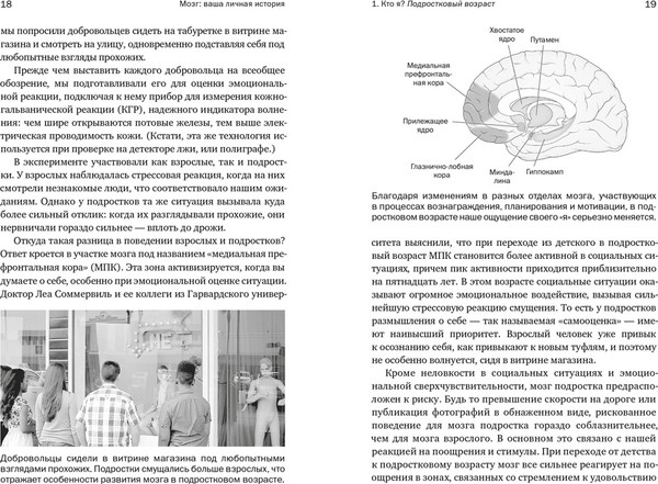 Изображение товара Книга КоЛибри Мозг: ваша личная история, мягкая обложка (Иглмен Дэвид)