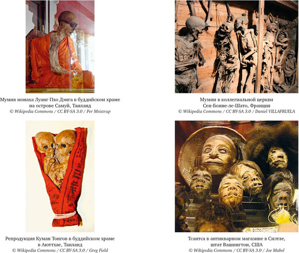 Изображение товара Книга КоЛибри Мумии со всего света, твердая обложка (Каз Жюльет)