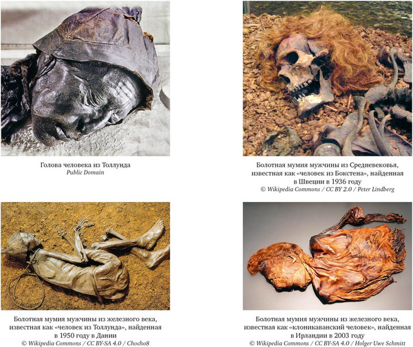 Изображение товара Книга КоЛибри Мумии со всего света, твердая обложка (Каз Жюльет)