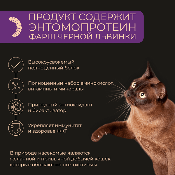 Изображение товара Влажный корм для кошек Yumster Полнорационный паштет для котят с ягненком (100г)