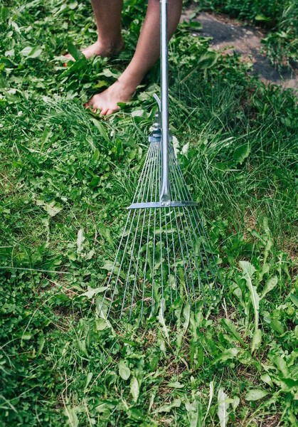 Изображение товара Грабли GREENGO 150825