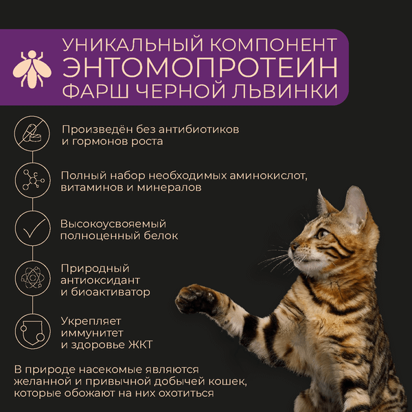 Изображение товара Влажный корм для кошек Yumster Adult С ягненком в соусе (85г)