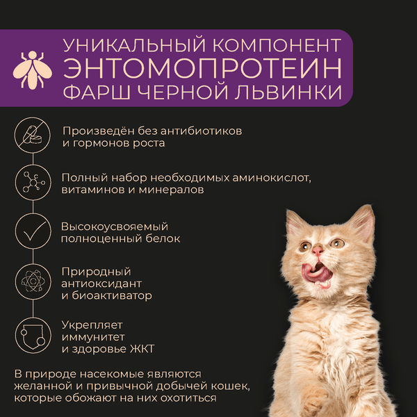 Изображение товара Влажный корм для кошек Yumster Для котят С индейкой в соусе (85г)