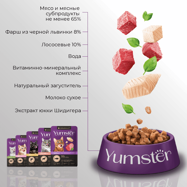 Изображение товара Влажный корм для кошек Yumster Для котят С рыбой в соусе (85г)