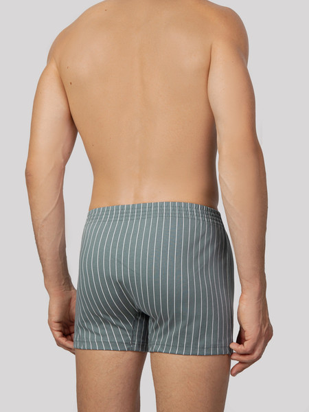 Изображение товара Комплект мужских трусов Mark Formelle 411152-2 (р.110-120, белая полоска на зеленом/зеленый лед)