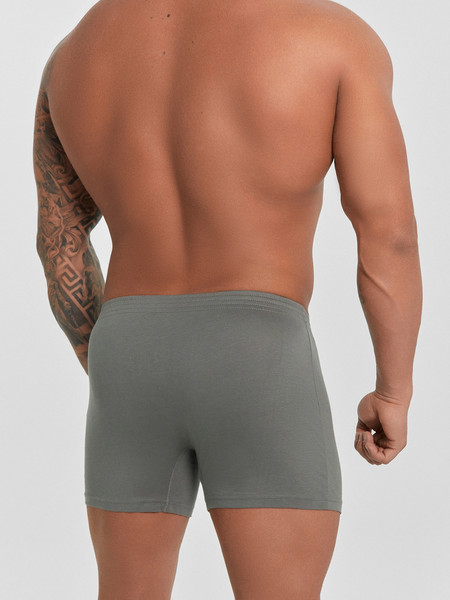 Изображение товара Комплект мужских трусов Mark Formelle 411152-2 (р.94-104, камень/разводы на тени)