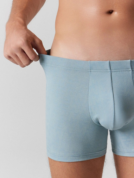 Изображение товара Трусы мужские Mark Formelle 411220 (р.94-104, MF на полыни)