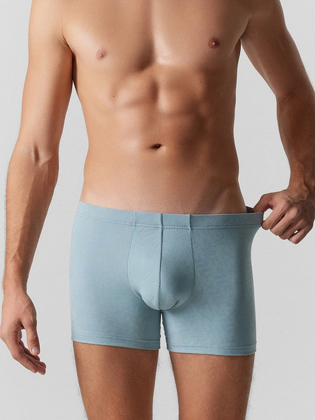 Изображение товара Трусы мужские Mark Formelle 411220 (р.94-104, MF на полыни)