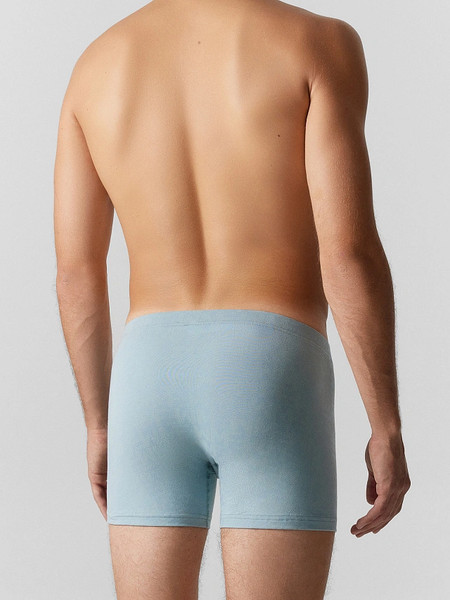 Изображение товара Трусы мужские Mark Formelle 411220 (р.94-104, MF на полыни)