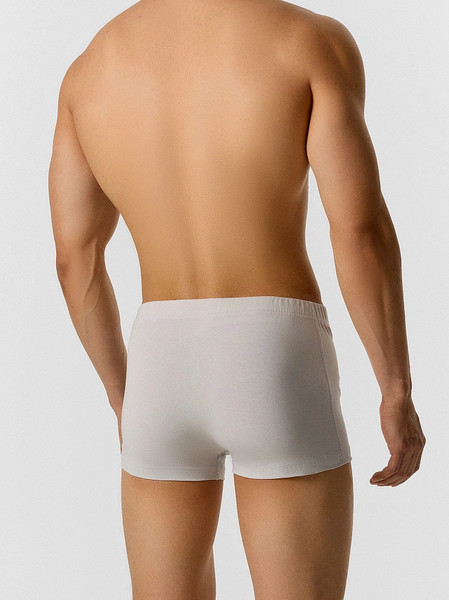 Изображение товара Трусы мужские Mark Formelle 411229 (р.98-108, мрамор)