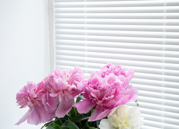 Изображение товара Жалюзи горизонтальные Delfa СГЖМ-300/13 (62x150, белый)