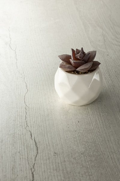 Изображение товара Ламинат Kronon Modern (Мостовдрев) Beeton Pine