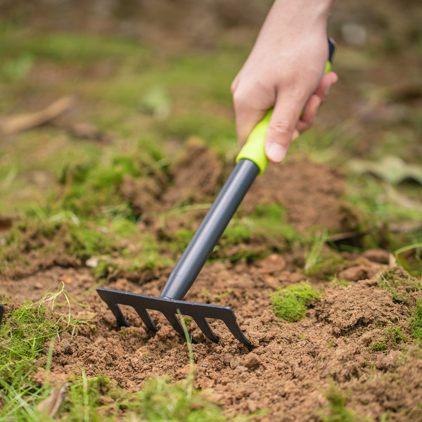 Изображение товара Набор садовых инструментов Deli EDL580803 (3шт, зеленый/черный)