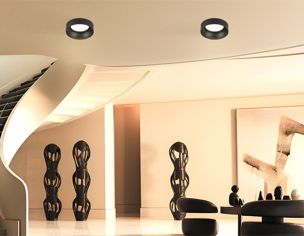 Изображение товара Точечный светильник Ambrella TN51817 BK (черный)