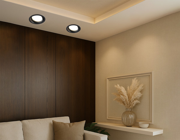 Изображение товара Точечный светильник Ambrella TN6653 BK (черный)