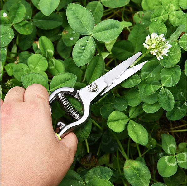 Изображение товара Садовые ножницы механические Deli EDL580123