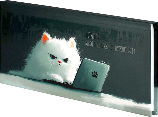 Изображение товара Еженедельник Феникс+ Кот с ноутбуком / 71561