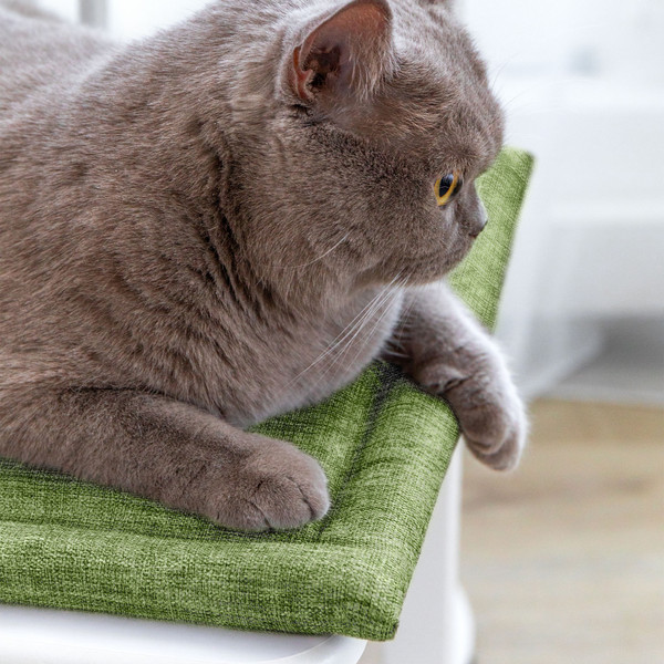 Изображение товара Подушка на стул Волшебная ночь 40x40 / 920806 (киви)