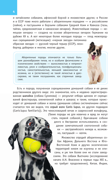 Изображение товара Энциклопедия АСТ Породы собак. Определитель, полумягкая обложка (Михальская Анна)