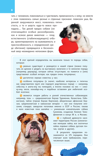 Изображение товара Энциклопедия АСТ Породы собак. Определитель, полумягкая обложка (Михальская Анна)