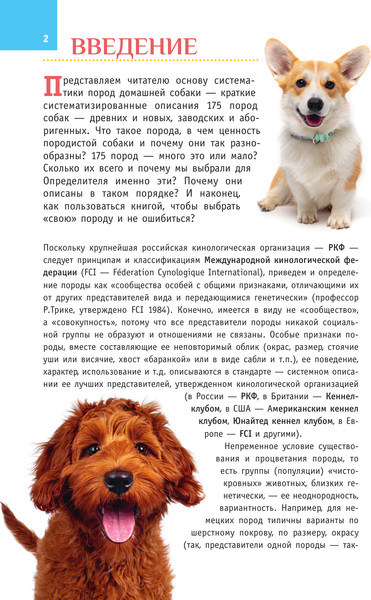 Изображение товара Энциклопедия АСТ Породы собак. Определитель, полумягкая обложка (Михальская Анна)