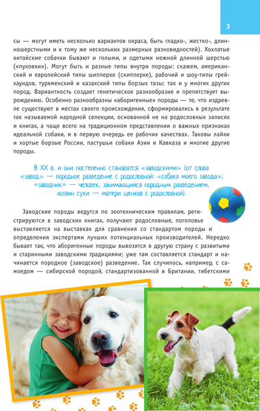 Изображение товара Энциклопедия АСТ Породы собак. Определитель, полумягкая обложка (Михальская Анна)