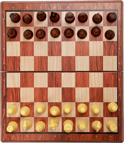 Изображение товара Шахматы Sima-Land 10643406