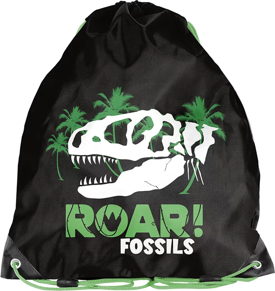 Изображение товара Мешок для обуви Paso PP24FS-712