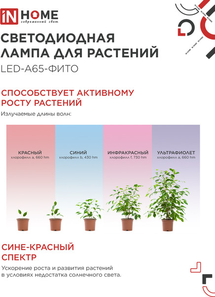 Изображение товара Лампа для растений INhome LED-A65 STD-ФИТО 25Вт 230В Е27 / 4690612057712 (красно-синий спектр)