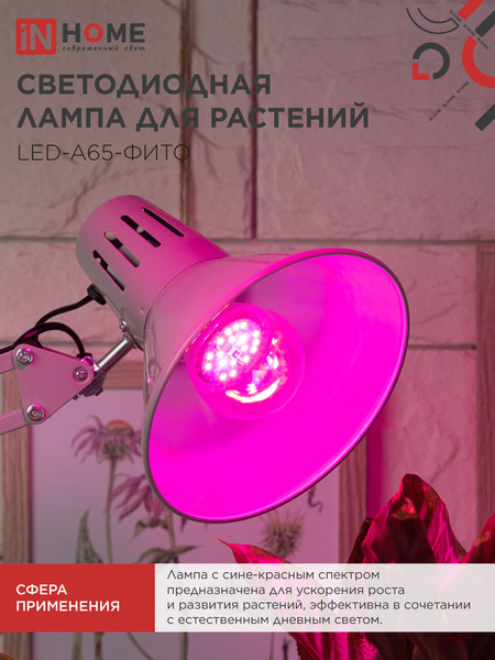 Изображение товара Лампа для растений INhome LED-A65 STD-ФИТО 25Вт 230В Е27 / 4690612057712 (красно-синий спектр)