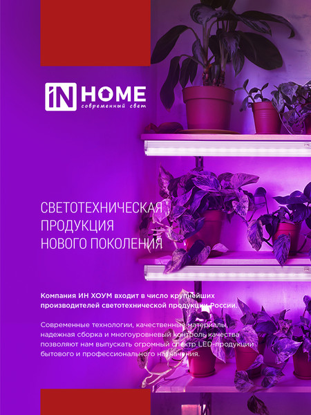 Изображение товара Лампа для растений INhome LED-A65 STD-ФИТО 25Вт 230В Е27 / 4690612057712 (красно-синий спектр)