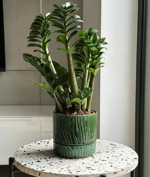 Изображение товара Вазон Polnix 07.150.13 (зеленый)