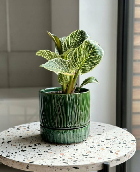 Изображение товара Вазон Polnix 07.150.13 (зеленый)