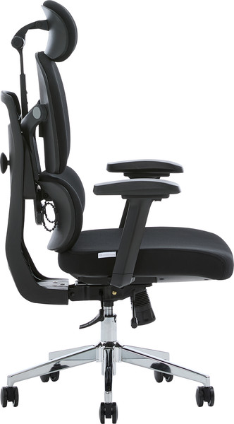 Изображение товара Кресло офисное Evolution DynamicBalance (черный)