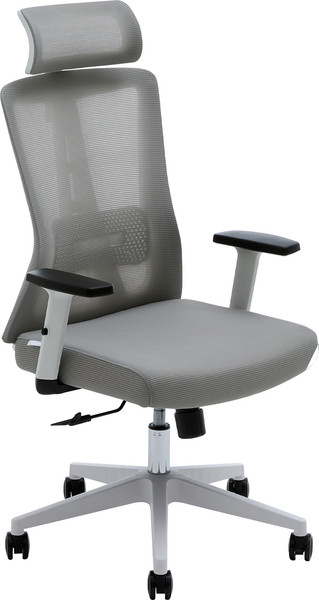 Изображение товара Кресло офисное Evolution ErgoLine 3 (серый)