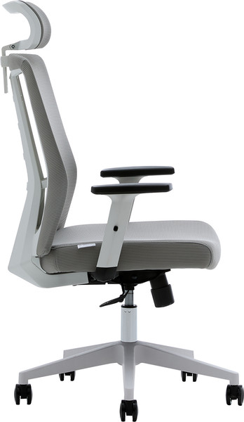 Изображение товара Кресло офисное Evolution ErgoLine 3 (серый)