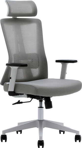 Изображение товара Кресло офисное Evolution ErgoLine 3 (серый)