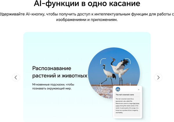 Изображение товара Смартфон Honor X6c 6GB/128GB (Midnight Black)