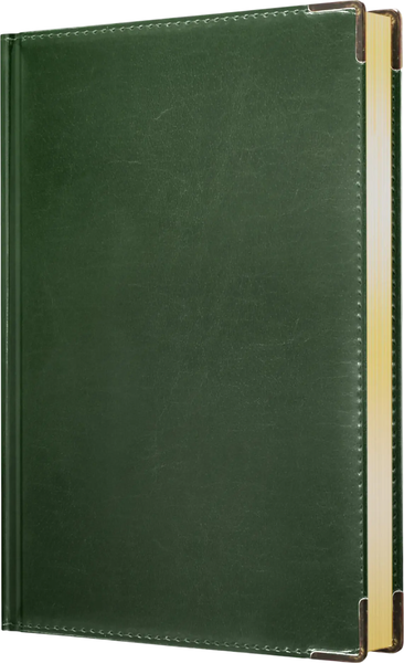 Изображение товара Ежедневник Listoff Status / ЕКС52617603 (176л, темно-зеленый)