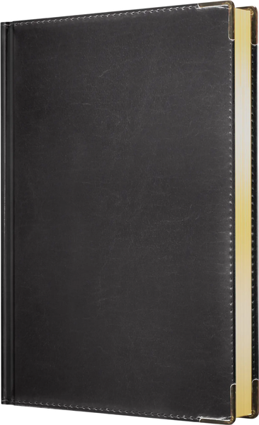 Изображение товара Ежедневник Listoff Status / ЕКС52617602 (176л, черный)