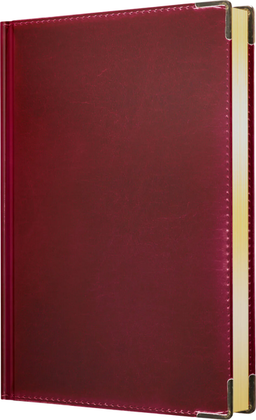 Изображение товара Ежедневник Listoff Status / ЕКС62617601 (176л, вишневый)