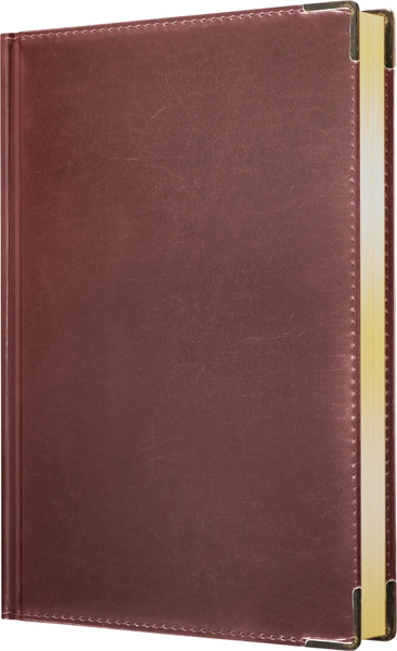 Изображение товара Ежедневник Listoff Status / ЕКС62617605 (176л, каштановый)