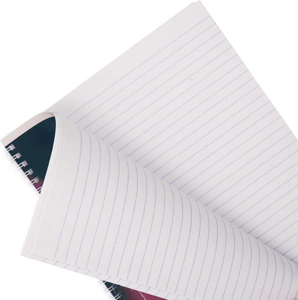 Изображение товара Тетрадь Listoff Нет плохой погоды / ТС4805177 (80л)