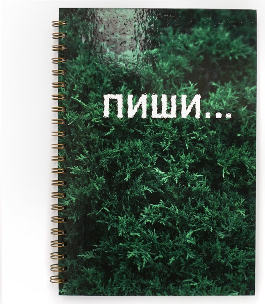 Изображение товара Тетрадь Listoff Пиши / ТС41205236 (120л)