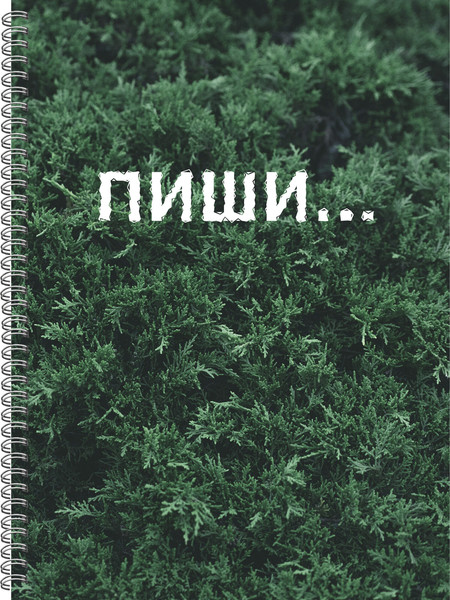 Изображение товара Тетрадь Listoff Пиши / ТС41205236 (120л)