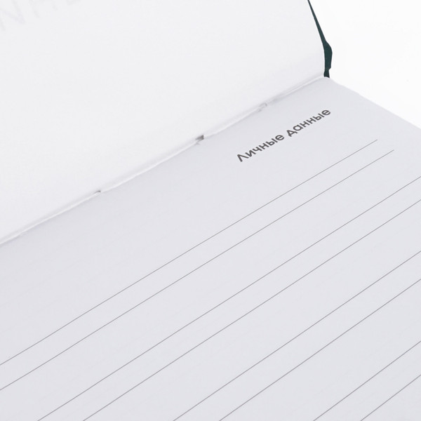 Изображение товара Планинг Listoff Парча / ПК2566412 (64л)