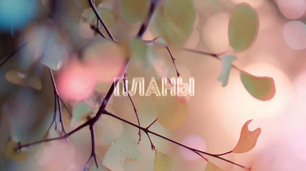 Изображение товара Планинг Listoff Поэзия дней / ПК2566402 (64л)