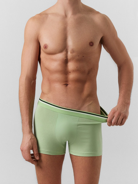 Изображение товара Комплект мужских трусов Mark Formelle 411215-3 (р.94-104, зеленая дымка/голубой/вино)