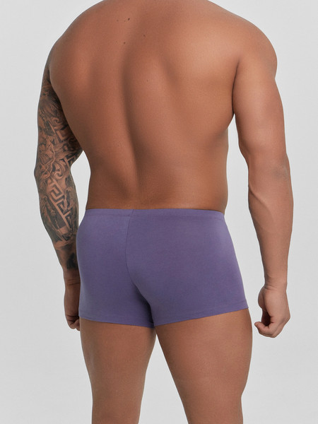 Изображение товара Комплект мужских трусов Mark Formelle 411216-2 (р.102-112, пыльно-фиолетовый/текст на графите)