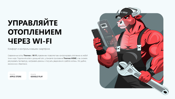 Изображение товара Газовый котел Thermex Antares F24